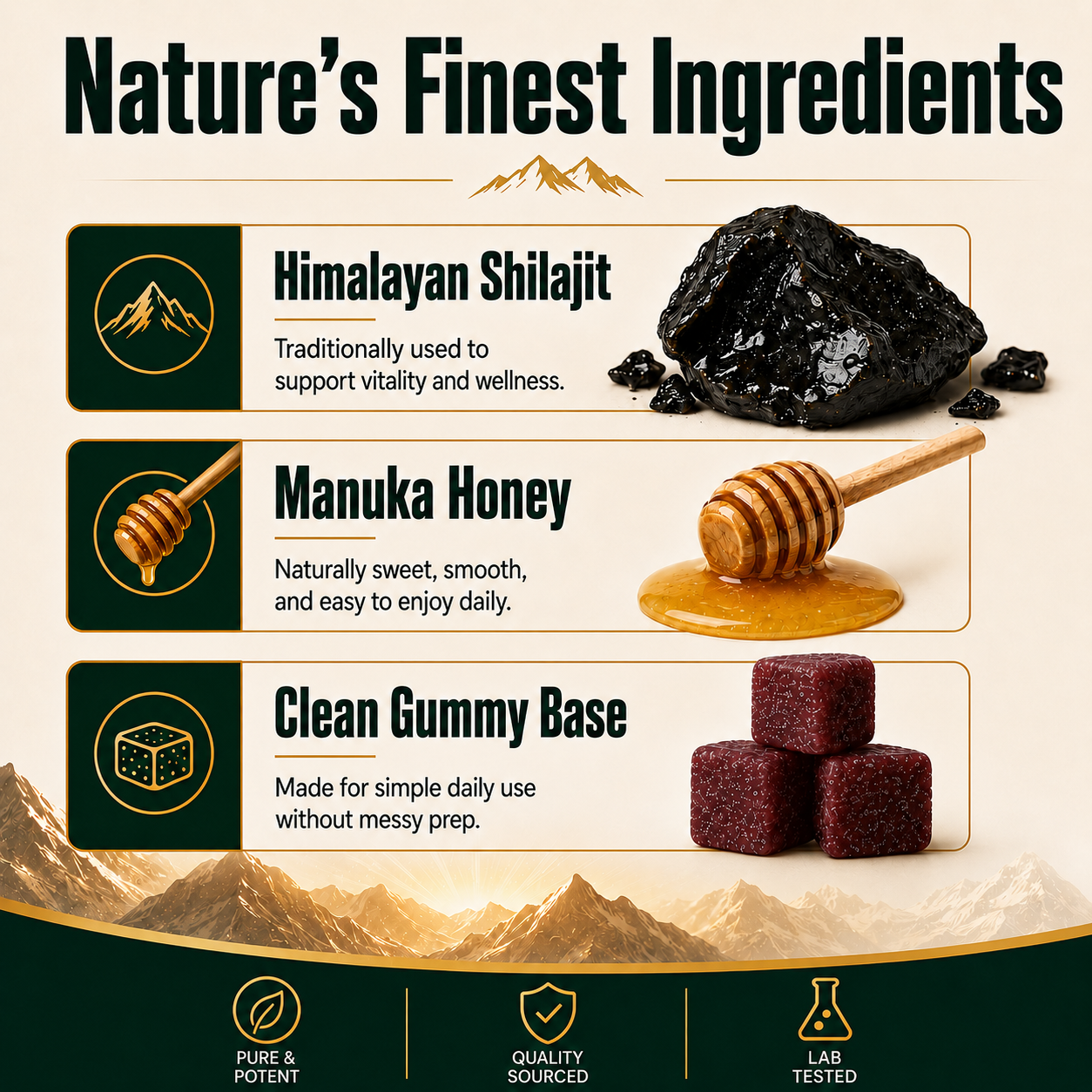 COREDAILY Shilajit® Ultimate Testosterone Revival